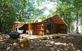 Secluded Hand Crafted Log Cabin